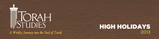 TS_high_holiday_banner.jpg